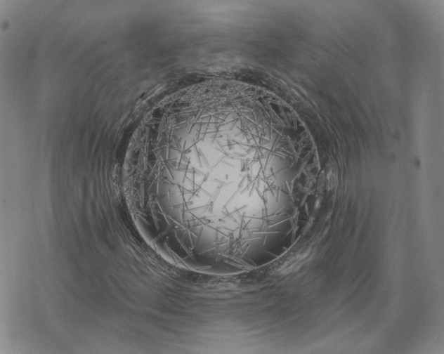 X0000076381156200610161108