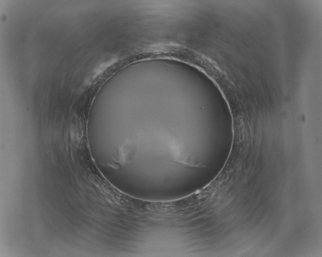 X0000076381158200610161108