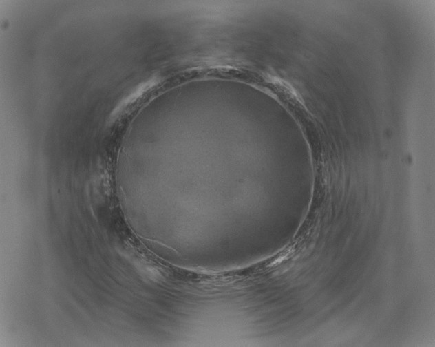 X0000076381159200610161108