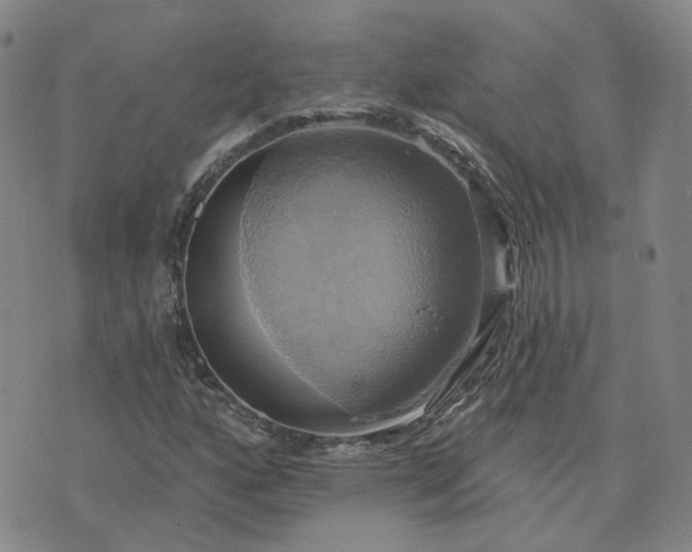 X0000076381160200610161108