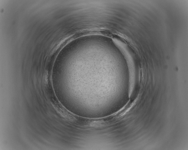 X0000076381161200610161108