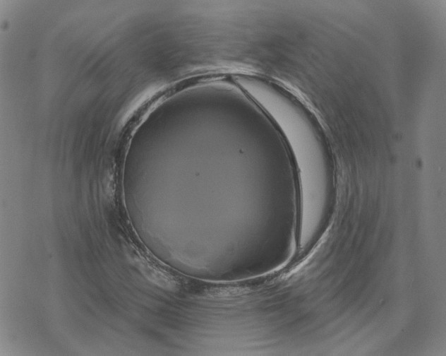 X0000076381163200610161107