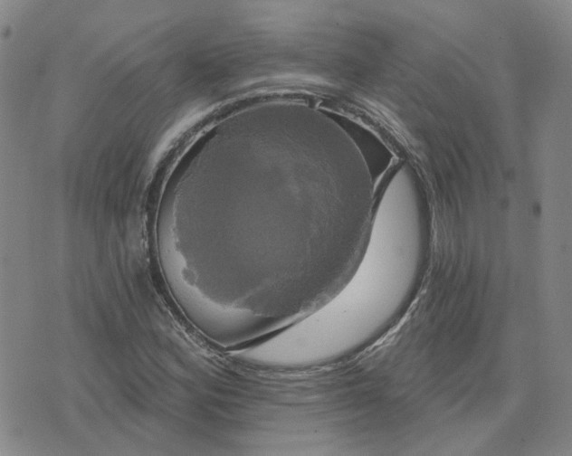 X0000076381164200610161107