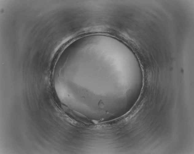 X0000076381166200610161107