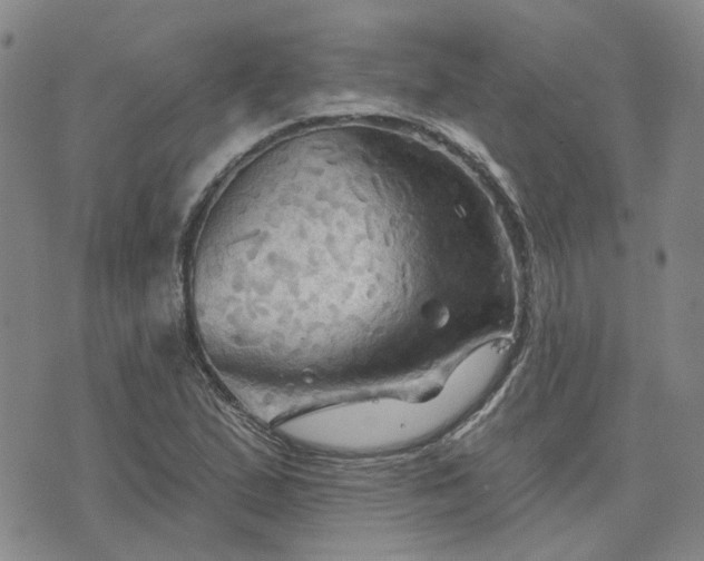 X0000076381167200610161107