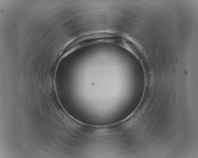 X0000076381169200610161107