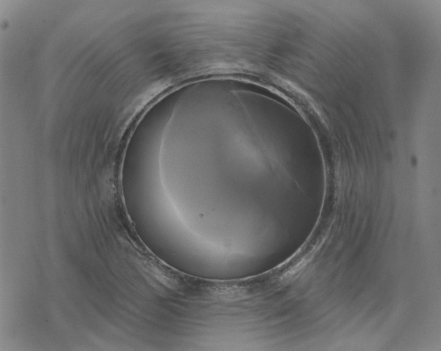 X0000076381170200610161107