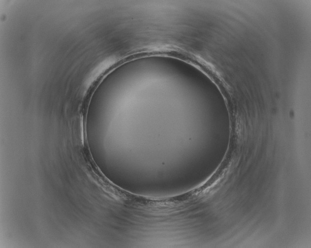 X0000076381171200610161107