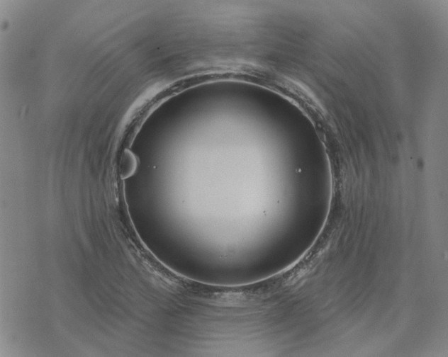 X0000076381172200610161107