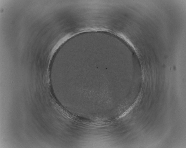 X0000076381173200610161107