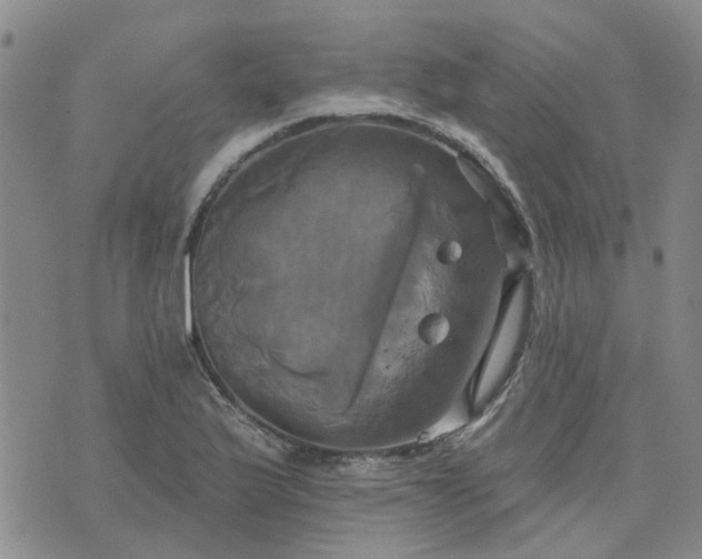 X0000076381175200610161107