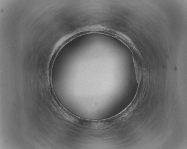 X0000076381176200610161107