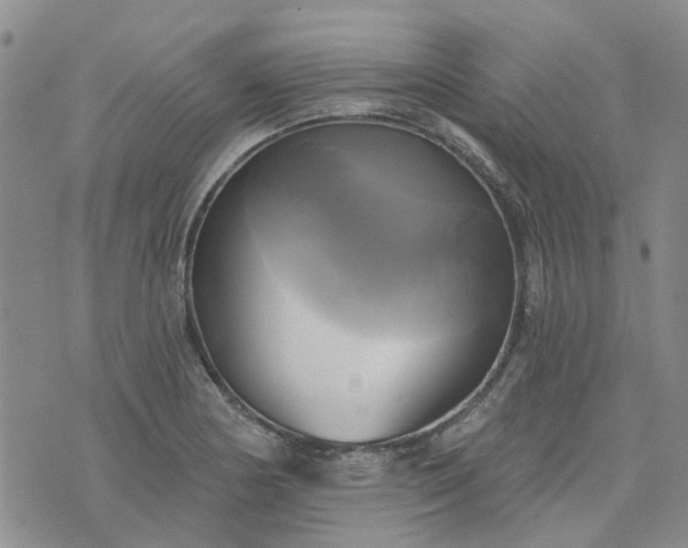 X0000076381178200610161107