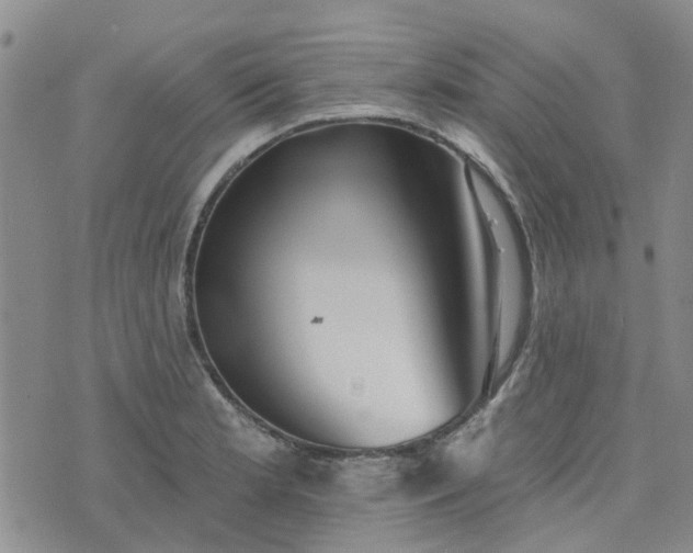 X0000076381181200610161107