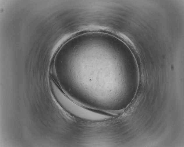 X0000076381183200610161107