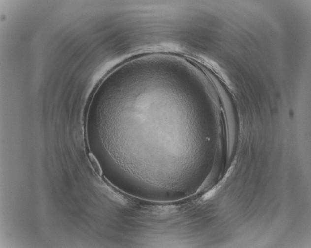 X0000076381184200610161107