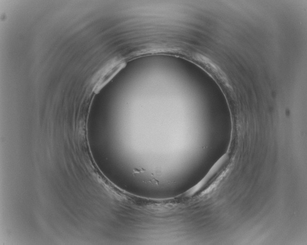 X0000076381185200610161107