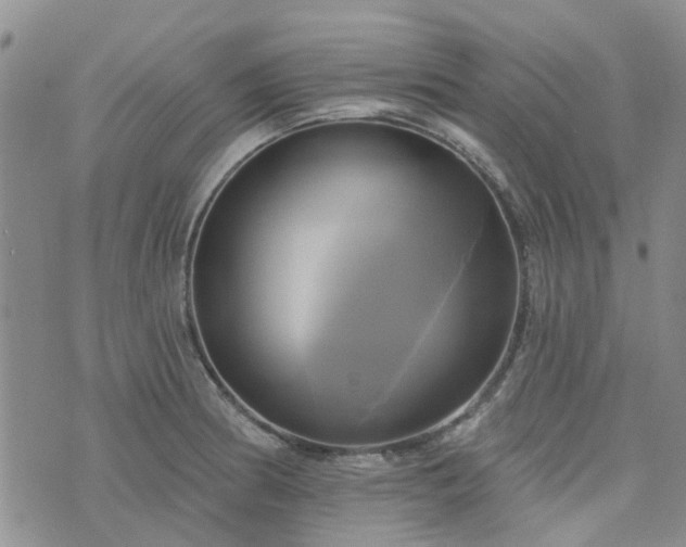 X0000076381186200610161107