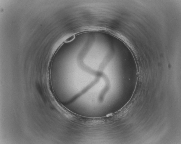 X0000076381187200610161107