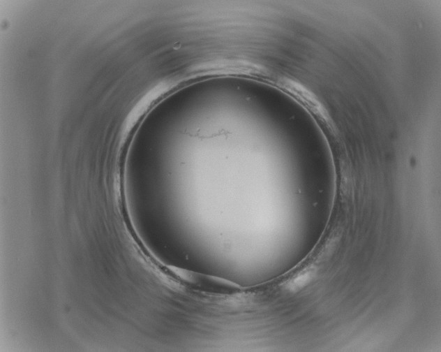 X0000076381188200610161107