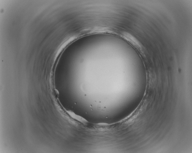 X0000076381190200610161107