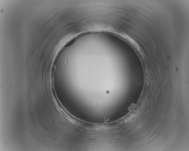 X0000076381191200610161107