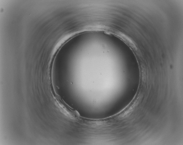 X0000076381192200610161107