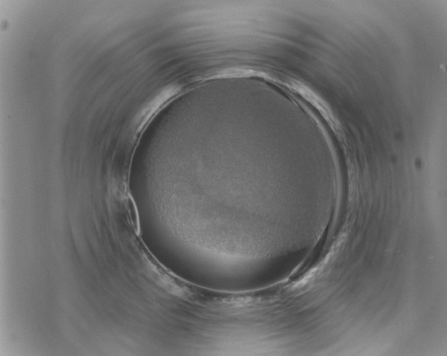 X0000076381193200610161107