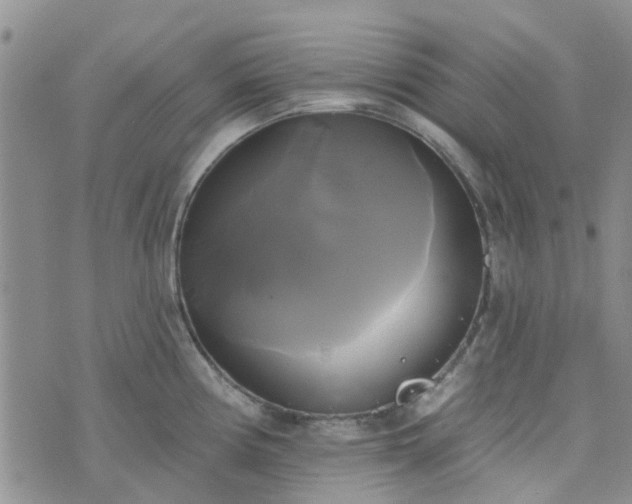 X0000076381194200610161107