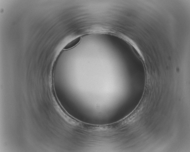 X0000076381195200610161107