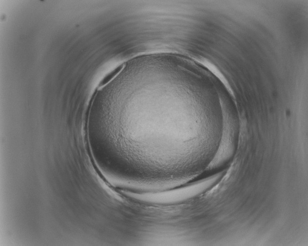 X0000076381197200610161107