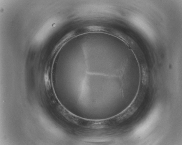 X0000076381198200610161107