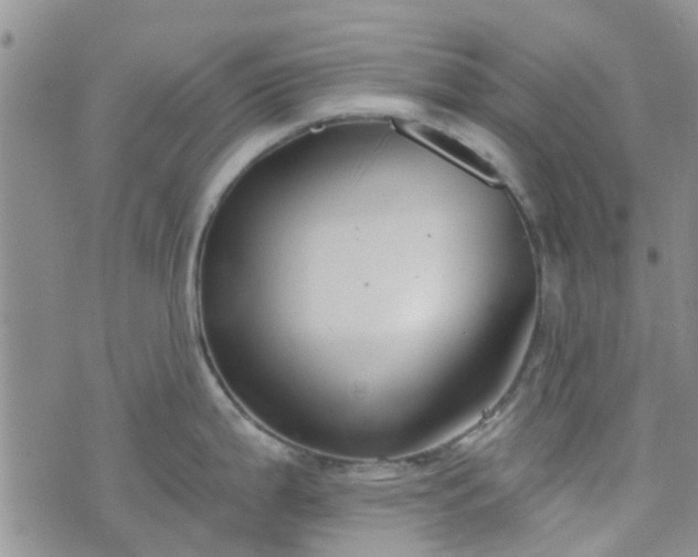 X0000076381199200610161107