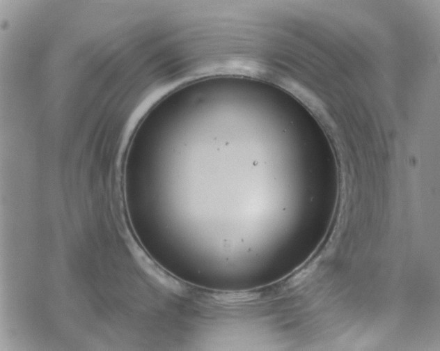 X0000076381200200610161107