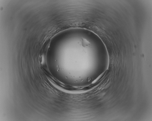 X0000076381202200610161106