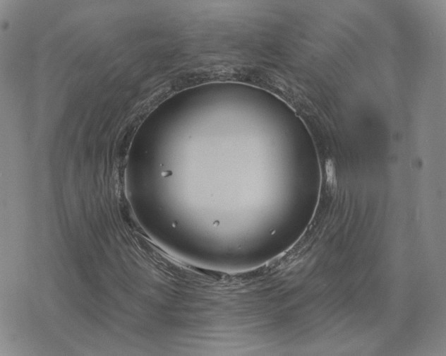 X0000076381203200610161106