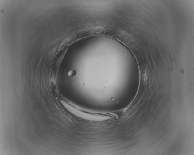 X0000076381204200610161106