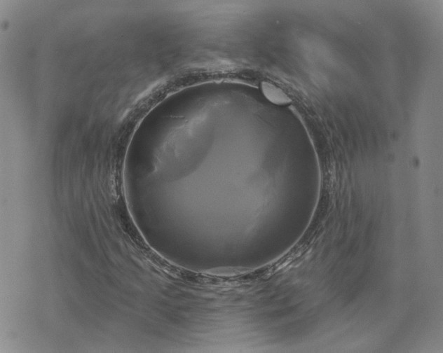 X0000076381205200610161106