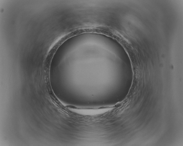 X0000076381208200610161106