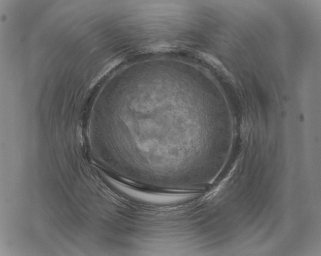 X0000076381209200610161106