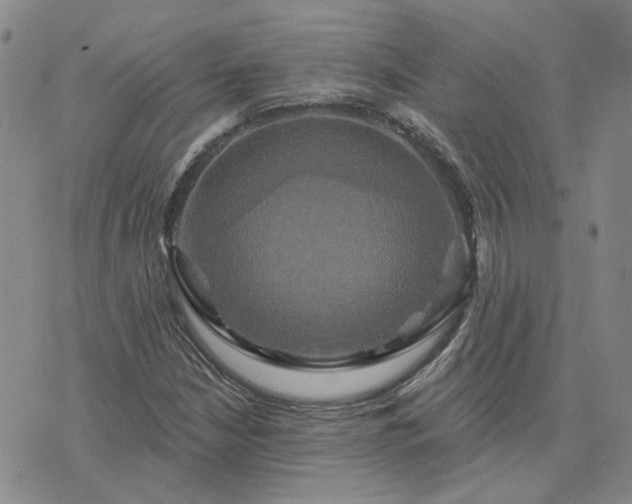 X0000076381210200610161106