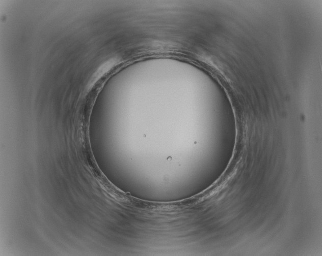 X0000076381211200610161106