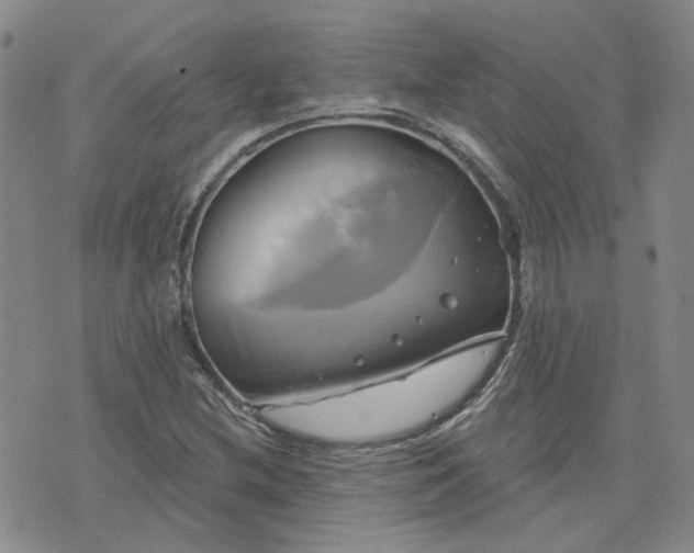 X0000076381212200610161106