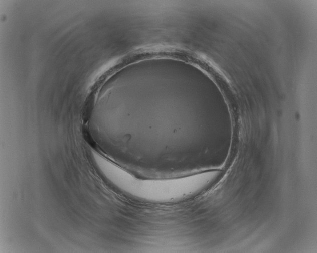 X0000076381213200610161106