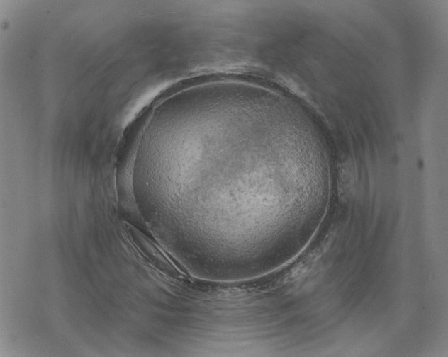 X0000076381214200610161106