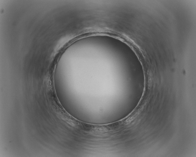 X0000076381215200610161106