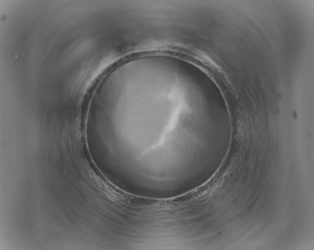 X0000076381216200610161106