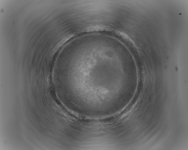 X0000076381217200610161106