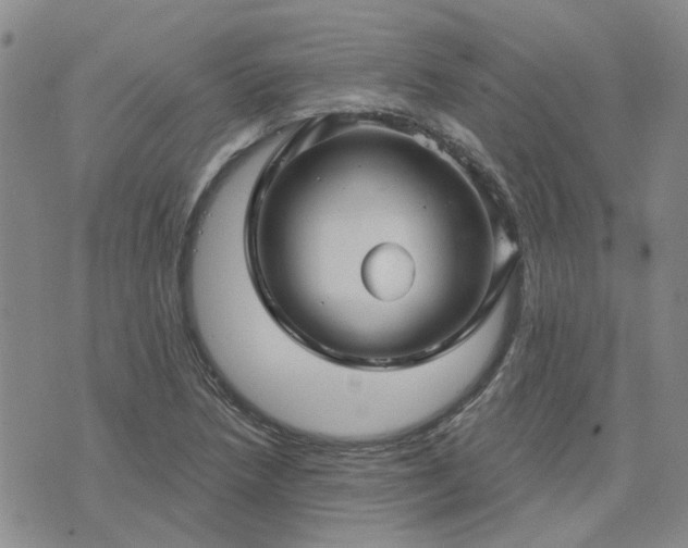 X0000076381218200610161106