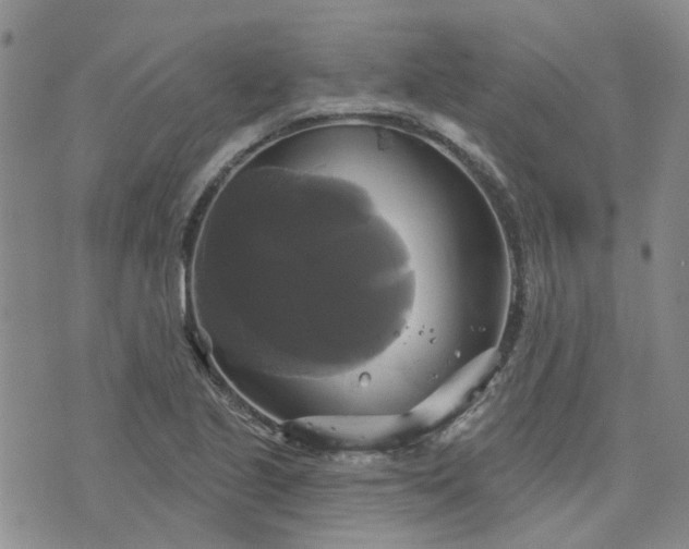 X0000076381221200610161106